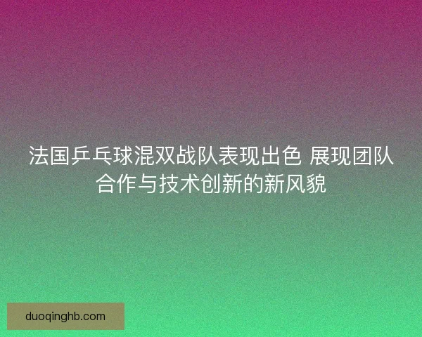 法国乒乓球混双战队表现出色 展现团队合作与技术创新的新风貌
