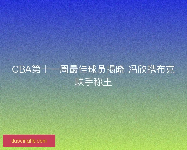CBA第十一周最佳球员揭晓 冯欣携布克联手称王