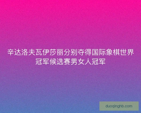 辛达洛夫瓦伊莎丽分别夺得国际象棋世界冠军候选赛男女人冠军 辛达洛夫瓦伊莎丽分别夺得国际象棋世界冠军候选赛男女人冠军